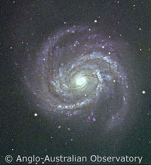 granddesignspiral1.jpg