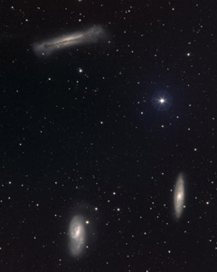 loosegroups2.gif